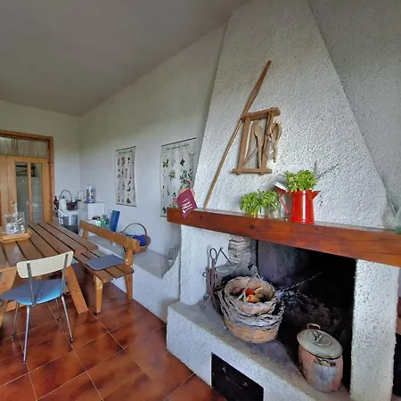 White - Welchome Holiday home *