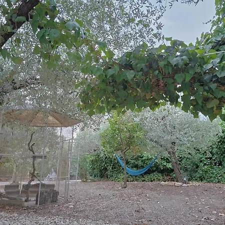 Holiday home White - Welchome Mozzagrogna