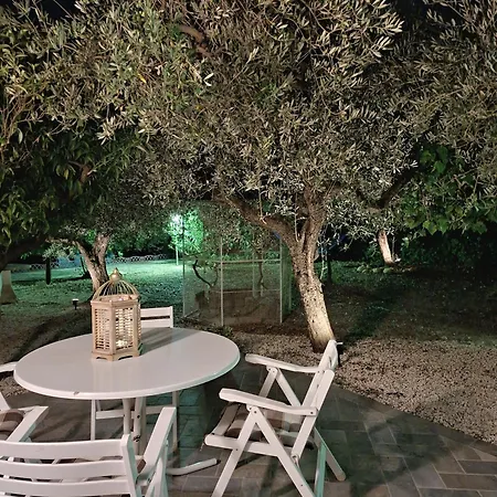 White - Welchome Mozzagrogna