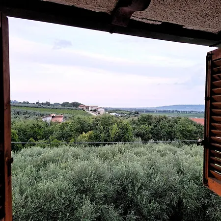 White - Welchome Mozzagrogna